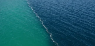 2 Perkara yang Banyak Memasukkan Seseorang ke dalam Surga dan Neraka